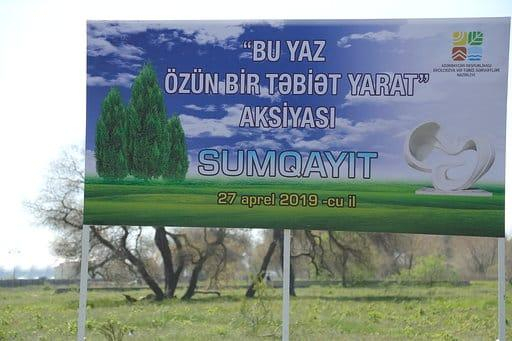 Sumqayıtda jurnalistlər ağac əkib