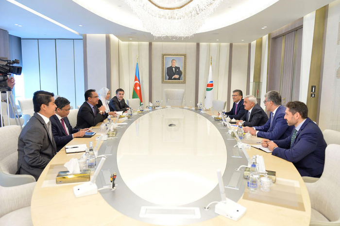  SOCAR, Petronas discuss matters of partnership 