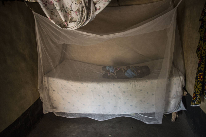 ¿Por qué la malaria está nuevamente en aumento?