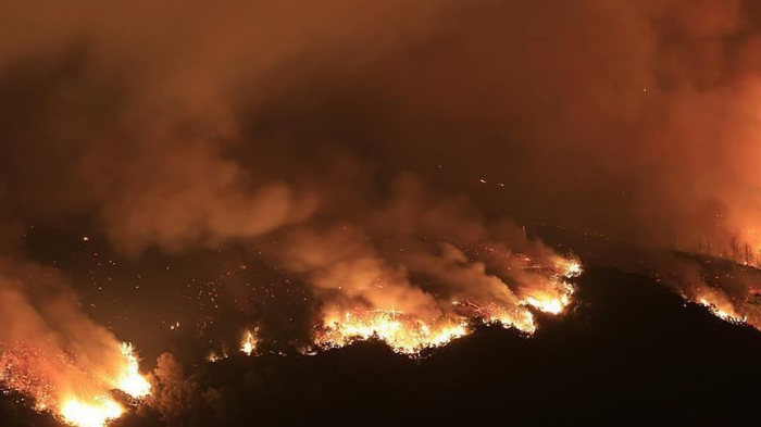 South Sudan wildfire kills 48, injures 68