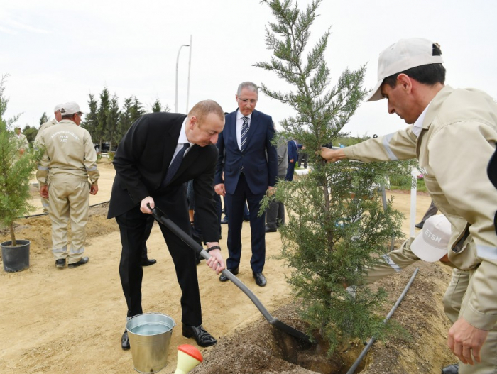 Ilham Aliyev prend part à une campagne de plantation d