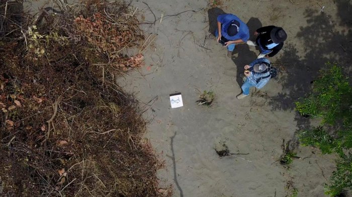 Remains of 35 people discovered in anonymous graves in Mexico - officials