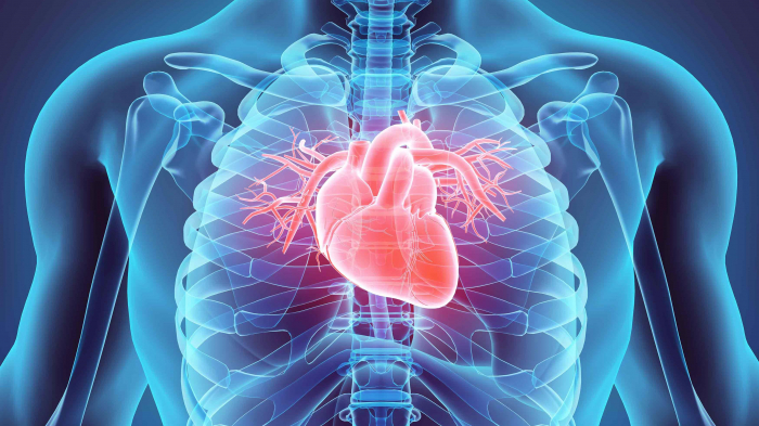 Google to spend billions developing gene therapy for heart disease