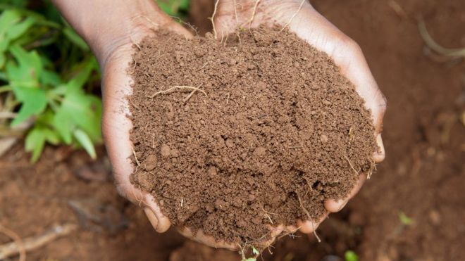 Washington becomes first US state to legalise human composting