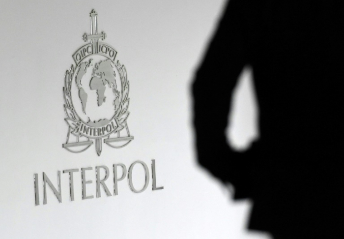 50 children saved after police bust paedophile website: Interpol