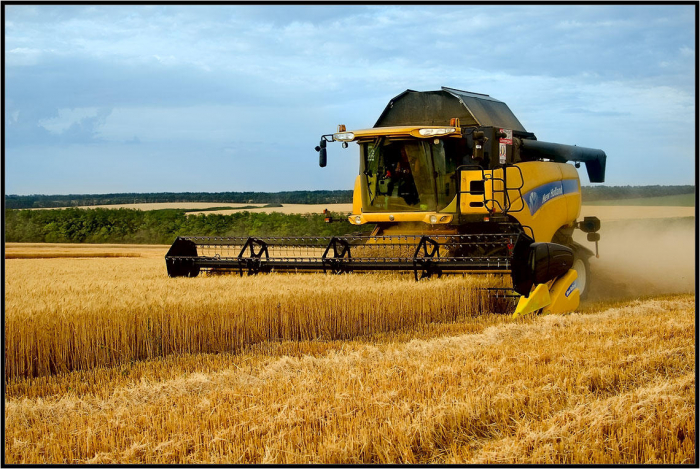   Association of Grain Producers and Processors established in Azerbaijan  