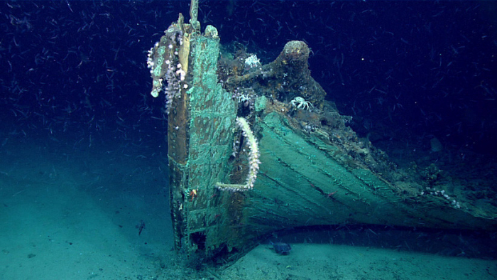   FOTOS:   Descubren un misterioso naufragio de casi dos siglos de antigüedad en el fondo del Golfo de México