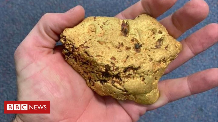 Australian finds A$100,000 gold nugget using metal detector