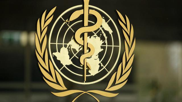 Tedros Adhanom Ghebreyesus appelle à renoncer à vacciner les enfants contre le coronavirus