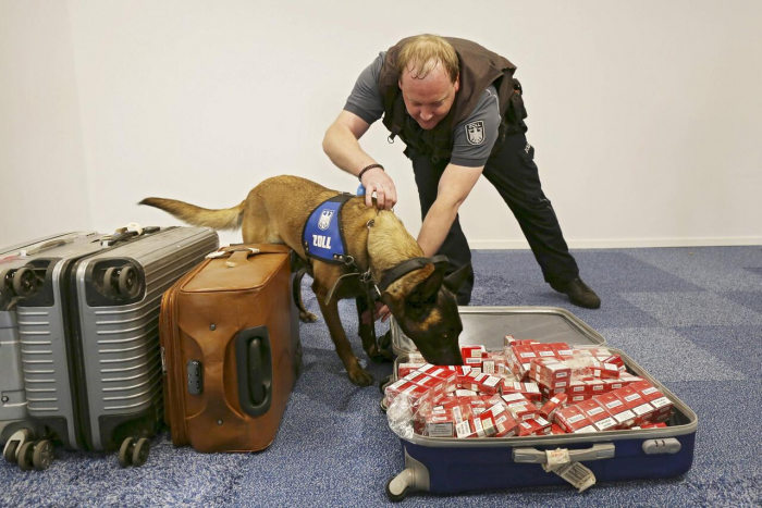 So werden Hunde bei der Polizei ausgebildet