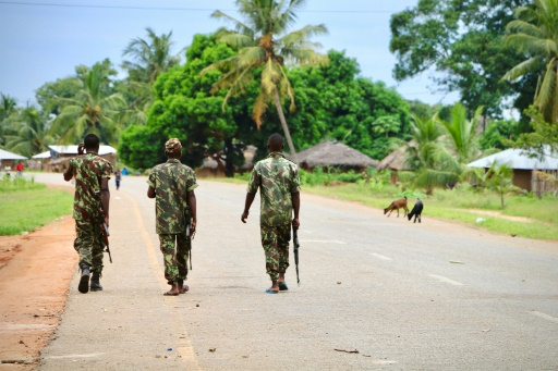  Mozambique:  16 personnes tuées dans une embuscade attribuée à des islamistes