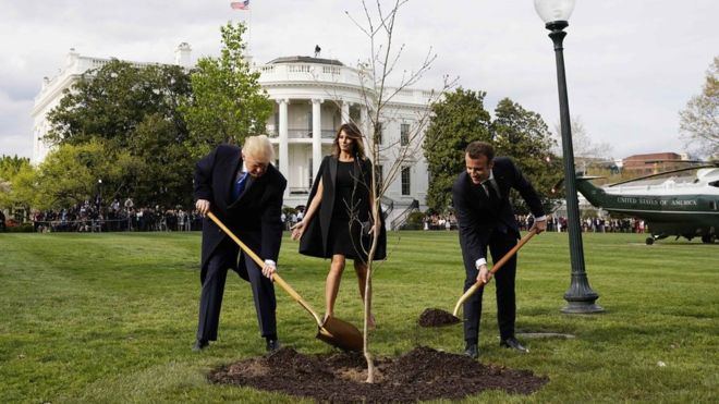 Macron to send Trump replacement friendship tree