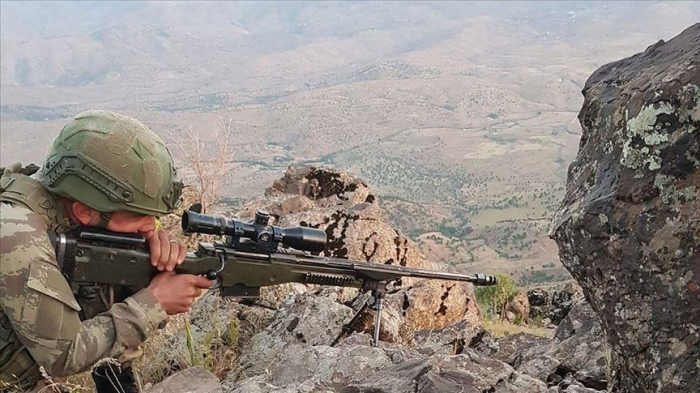 Turkey neutralizes 48 PKK terrorists in N.Iraq operation