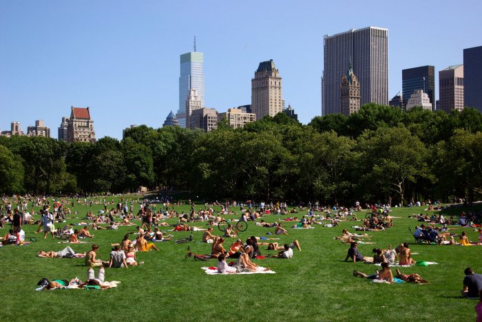 Sydney to get 1 mln more trees by 2022 under new green plan