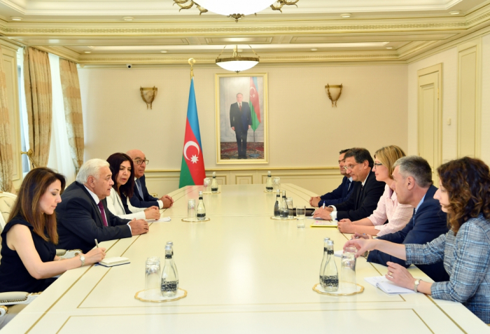     Stellvertretende Ministerpräsidentin:   Bulgarien ist Aserbaidschans strategischer Partner  