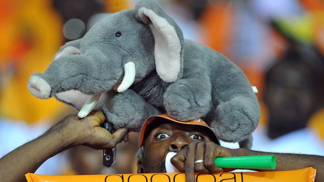 كأس الأمم الأفريقية 2019: ما بين أسود ونسور وفيلة.. قصص مثيرة وراء ألقاب الفرق الأفريقية