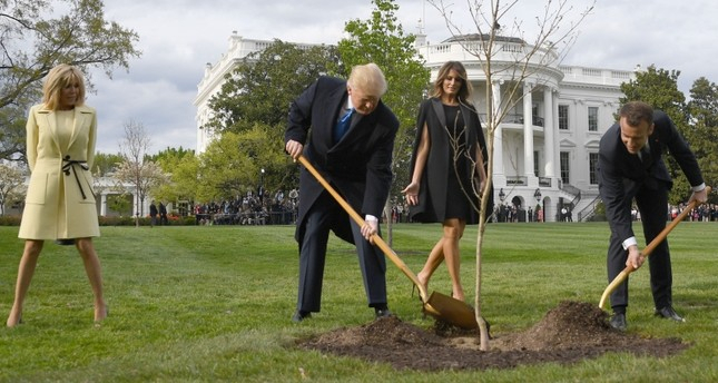 Trump-Macron friendship tree dies after White House planting