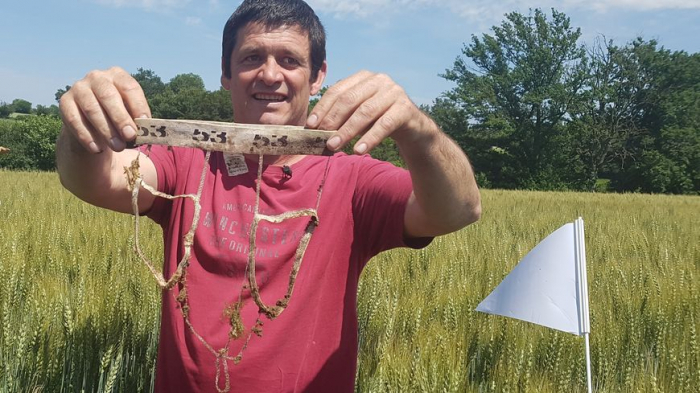 Des agriculteurs enterrent leurs slips pour évaluer l’état du sol