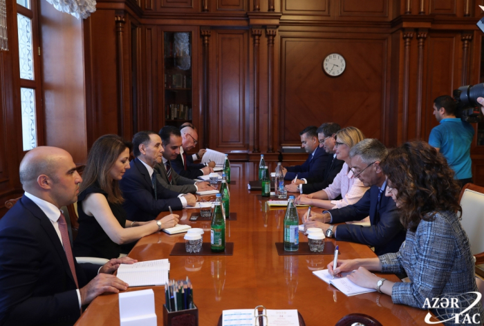  Le Premier ministre azerbaïdjanais s’est entretenu avec la vice-Première ministre bulgare 