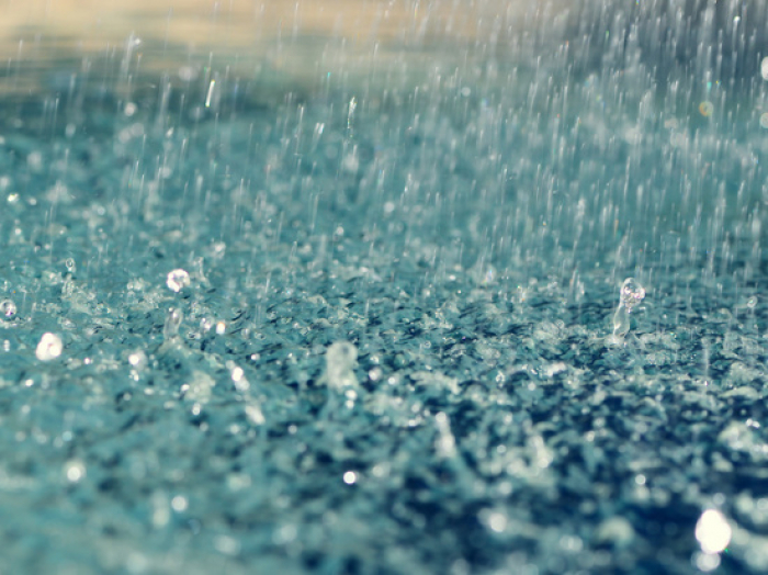 Leysan yağışları Vaşinqtonda fəsadlar törədib