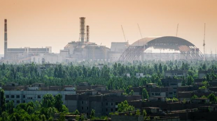   Chernóbil:   ¿por qué las plantas no murieron de cáncer?