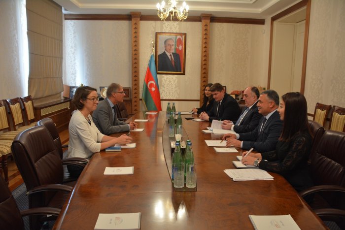   German ambassador presents copy of credentials to Azerbaijani FM  