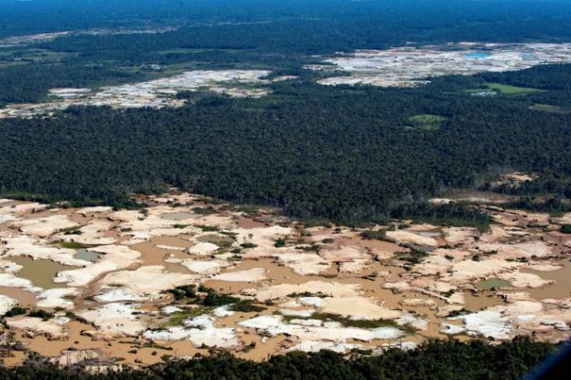  Deforestation + climate change = dead end for wildlife   
