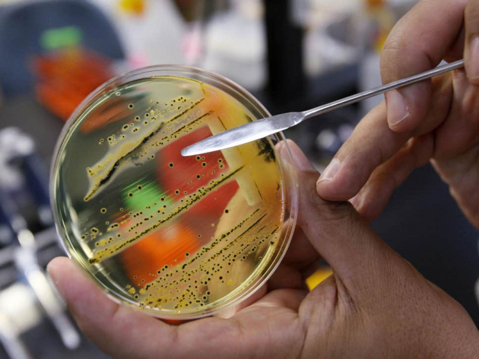 Antibiotic resistance hope as drug uses superbugs