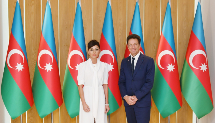   Mehriban Aliyeva se reúne con el presidente del Consejo Empresarial de MEDEF -   FOTO    