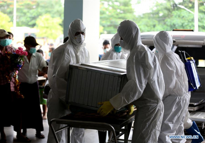 Swine flu death toll rises to 54 in Myanmar