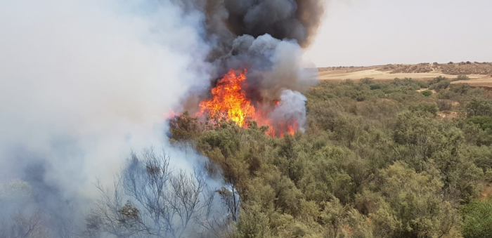 Israeli heatwave reaches record-breaking 50 degrees Celsius in Sodom-   VIDEO  
