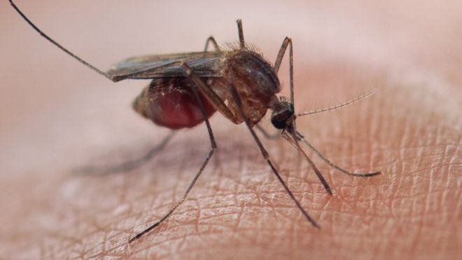Resistant malaria spreading in South East Asia