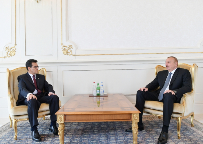  Presidente Ilham Aliyev recibe a nuevos embajadores-  Fotos  