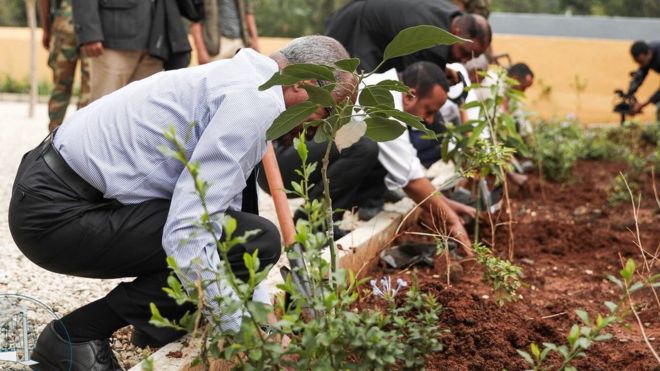 Ethiopia bids to break tree-planting record to tackle climate change