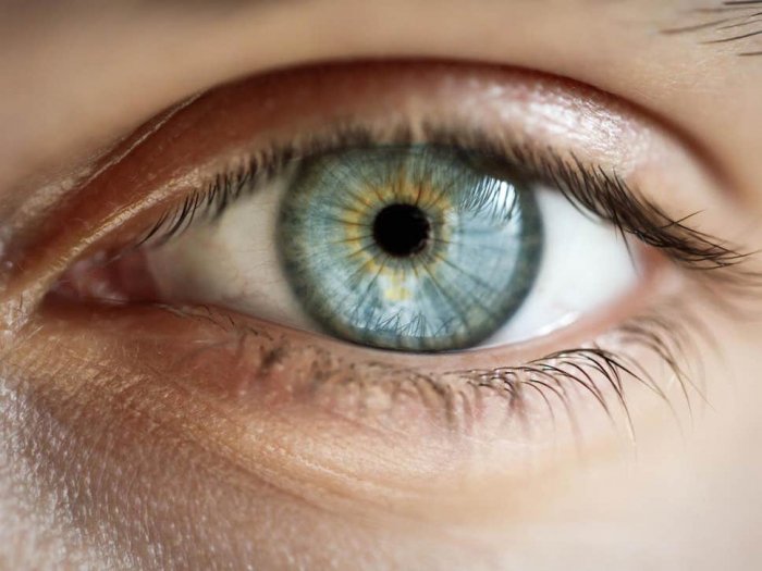 Robotic contact lens allows users to zoom in by blinking eyes