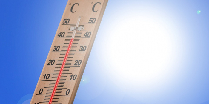  La France a égalé jeudi son record de la journée la plus chaude 