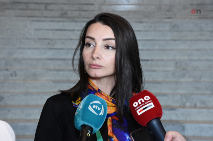     Leyla Abdullayeva:   "Australien unterstützt eindeutig die territoriale Integrität Aserbaidschans"  