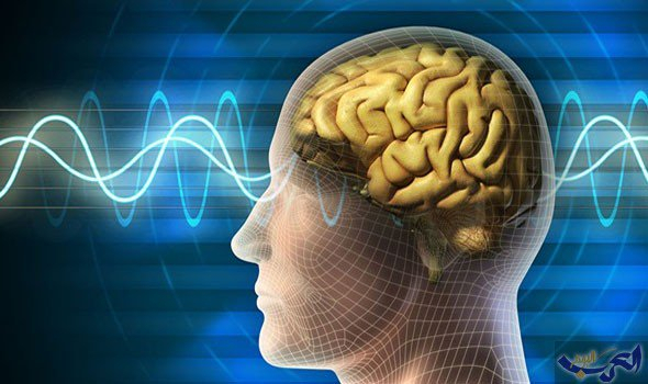 الكشف عن المهنة الأكثر ضررًا على "دماغ" الإنسان