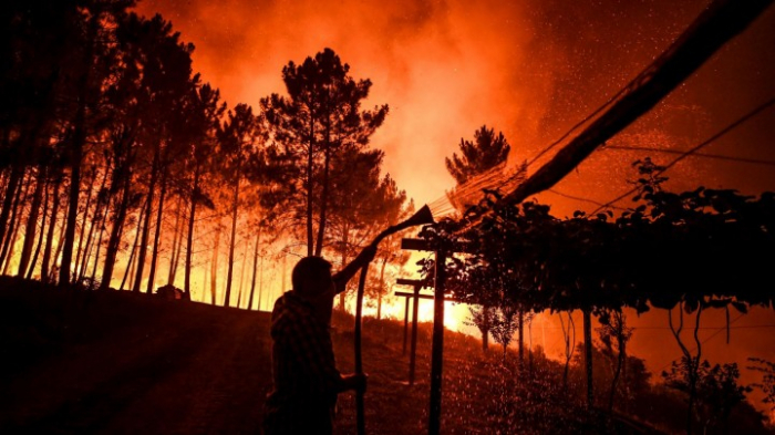   Portugal-   Bislang 20 Verletzte durch Waldbrände