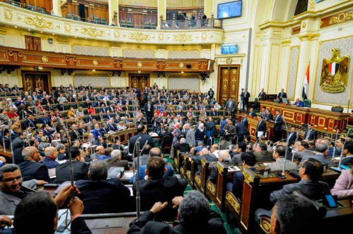 Le Parlement égyptien amende et adopte une loi controversée sur les ONG