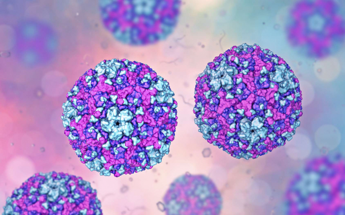   Un virus du rhume pourrait se transformer en traitement contre le cancer  