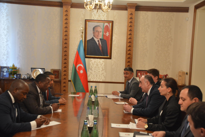   Azerbaijani FM receives state secretary of Guinea  