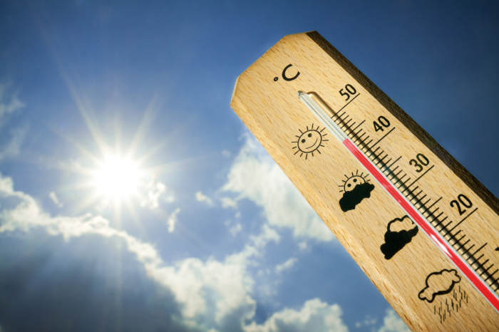   Canicule :  41,8°C jeudi, nouveau record de chaleur en Belgique 