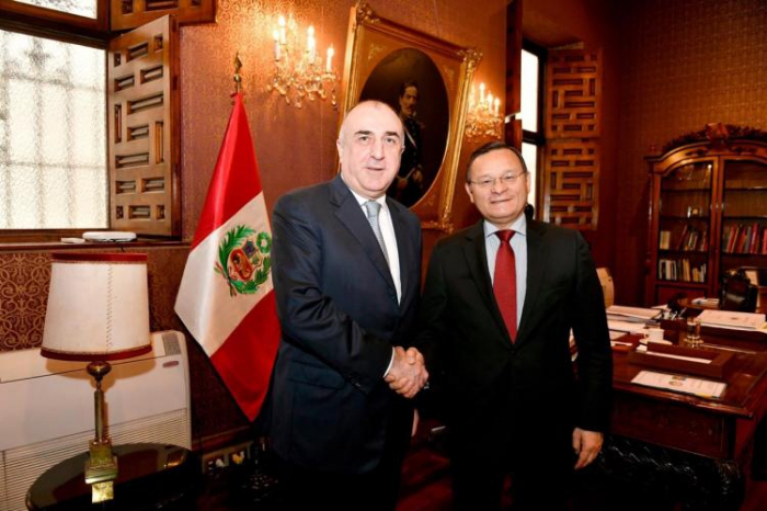  Azerbaijani FM meets with his Peruvian counterpart 