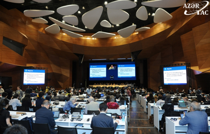   Continúa en Bakú la 43ª reunión del Comité del Patrimonio Mundial de la UNESCO  