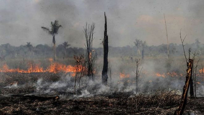  Brésil:  Bolsonaro interdit les brûlis pour freiner les incendies en Amazonie