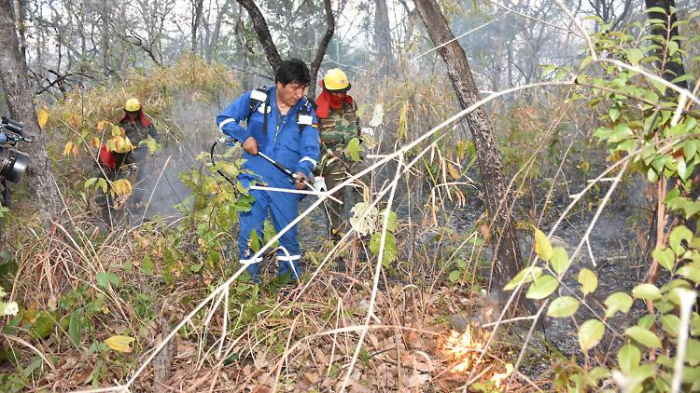 Morales verirrt sich im Amazonas-Dschungel