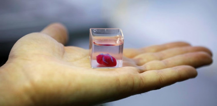 US scientists announce 3D heart printing breakthrough  