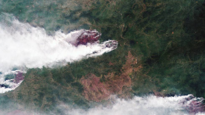 Tres millones de hectáreas de bosques arden en Rusia