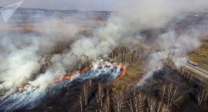 Waldbrände in Sibirien: Italiens Premier Conte bietet Russland Hilfe an